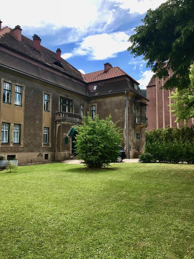 Apartment Im Gruenen Leoben  Extérieur photo